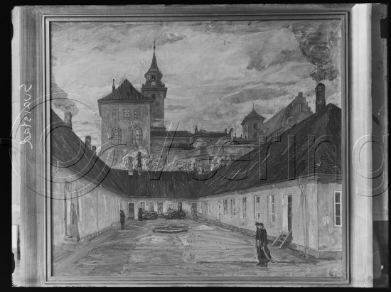 Glassplate og negativ bladfilm