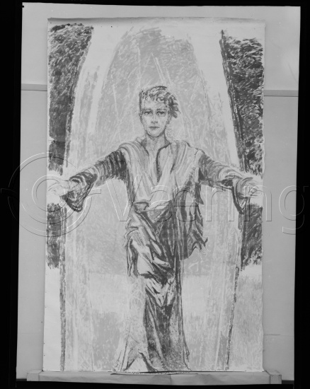 Glassplate og negativ film