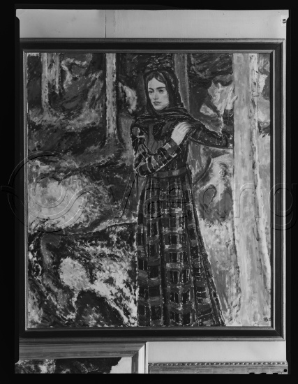 Glassplate og negativ film