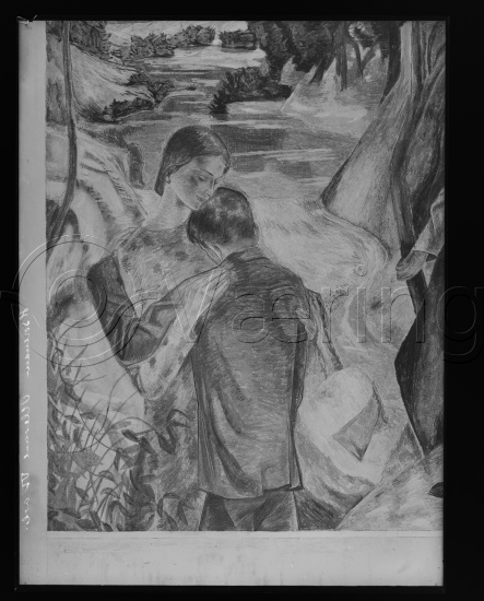 Glassplate og negativ bladfilm