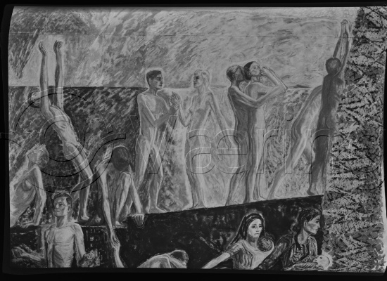 Glassplate og negativ bladfilm