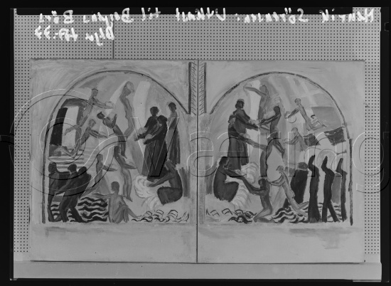 Glassplate og negativ bladfilm