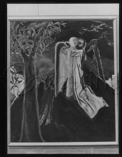 Glassplate og negativ film