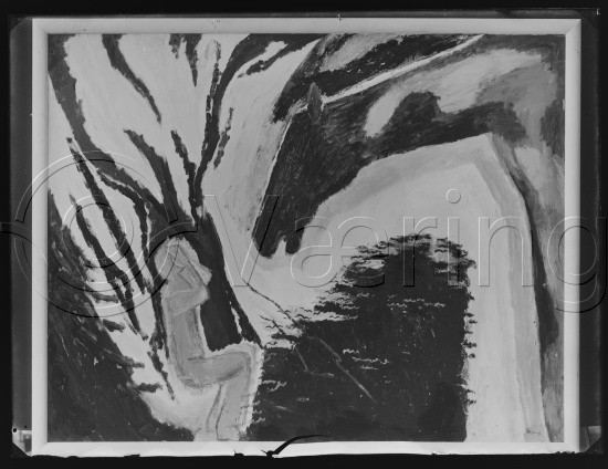 Glassplate og negativ film