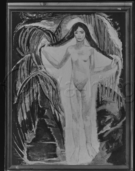 Glassplate og negativ film