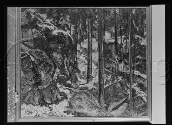 Glassplate og negativ film