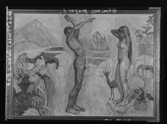 Glassplate og negativ film