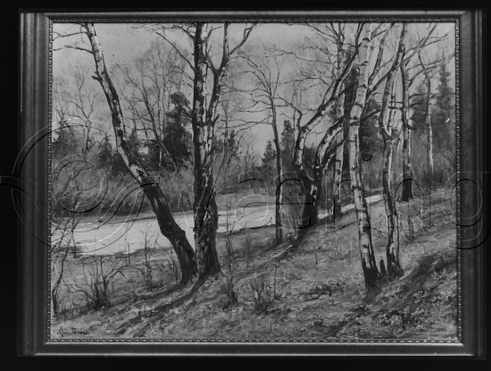 Glassplater og negativ film