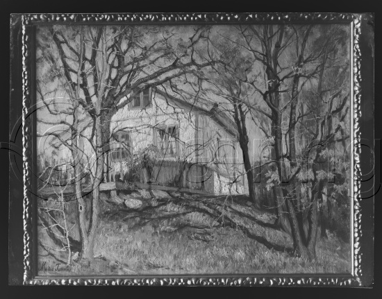 Glassplater og negativ film