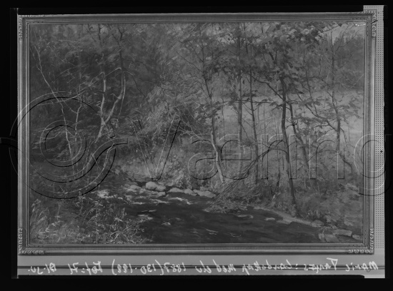 Glassplater og negativ film