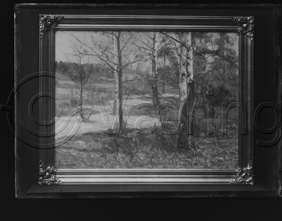 Glassplater og negativ film