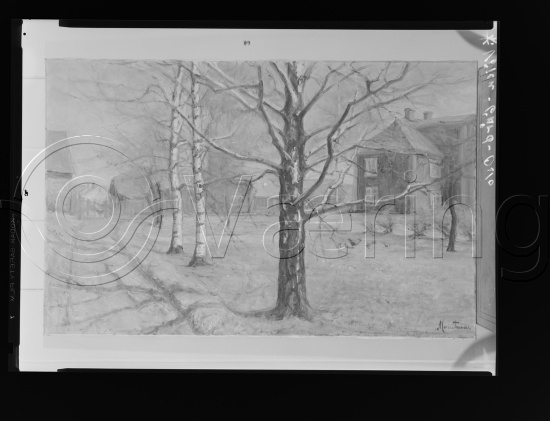 Glassplater og negativ film