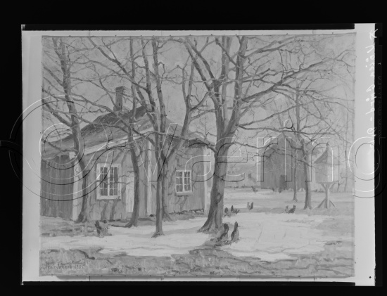 Glassplater og negativ film