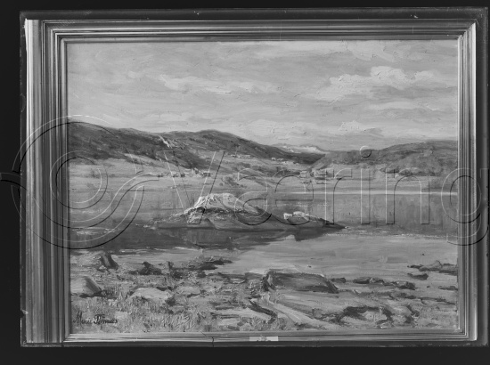 Glassplater og negativ film