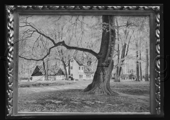 Glassplater og negativ film