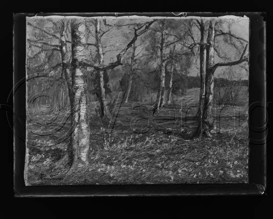 Glassplater og negativ film