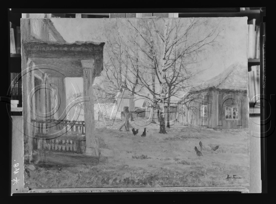 Glassplater og negativ film