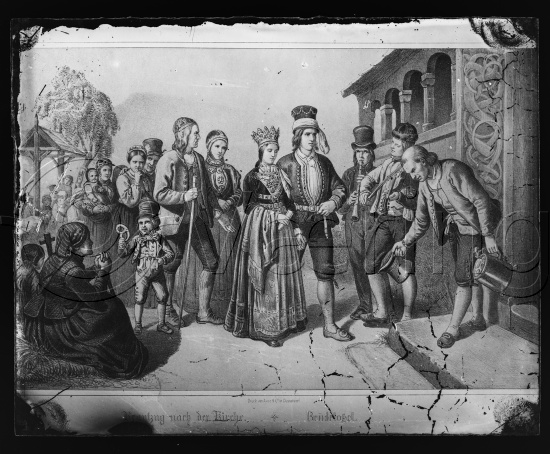 Glassplate og negativ bladfilm