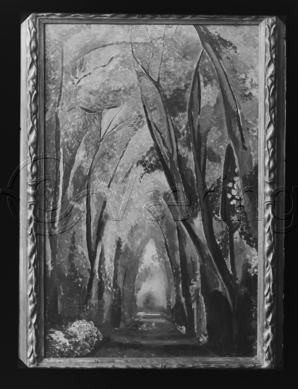 Glassplate og negativ film