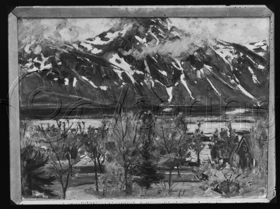 Glassplate og negativ film