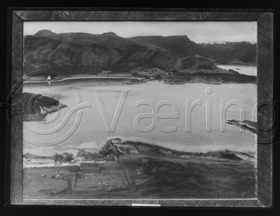 Glassplate og negativ film