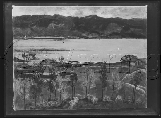 Glassplate og negativ film