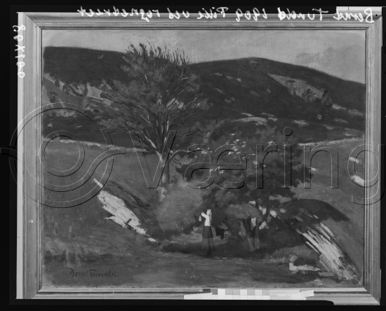 Glassplate og negativ film