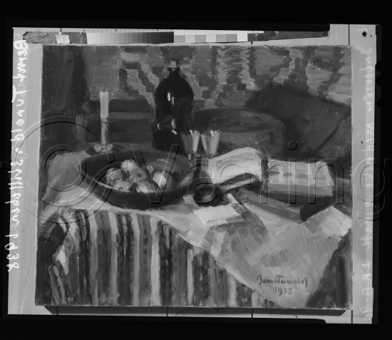 Glassplate og negativ film