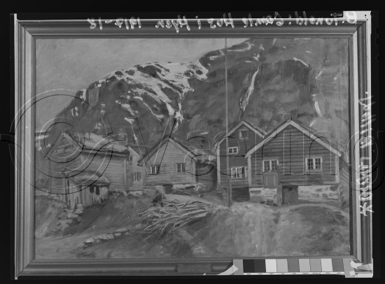Glassplate og negativ film