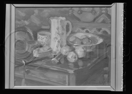 Glassplate og negativ film