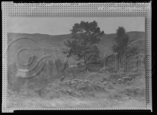 Glassplate og negativ film