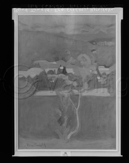 Glassplate og negativ film