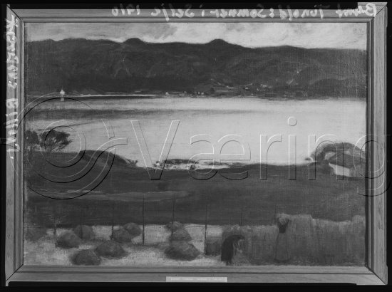 Glassplate og negativ film