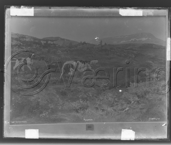 Glassplate og negativ film