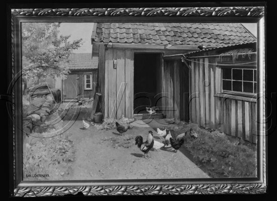 Glassplate og negativ film