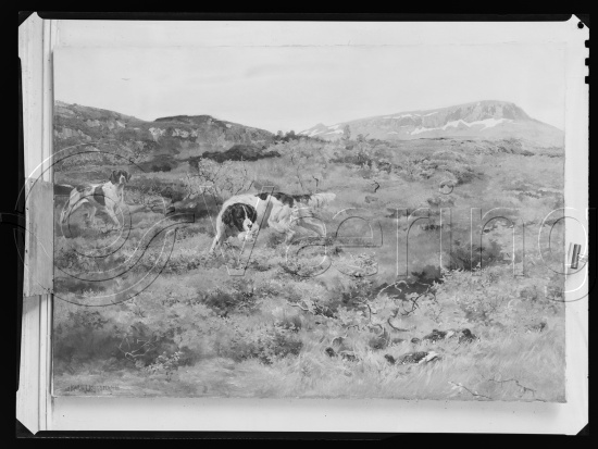 Glassplate og negativ film