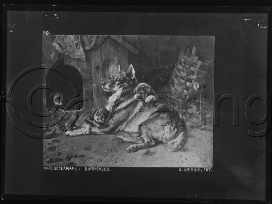 Glassplate og negativ film