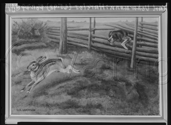 Glassplate og negativ film