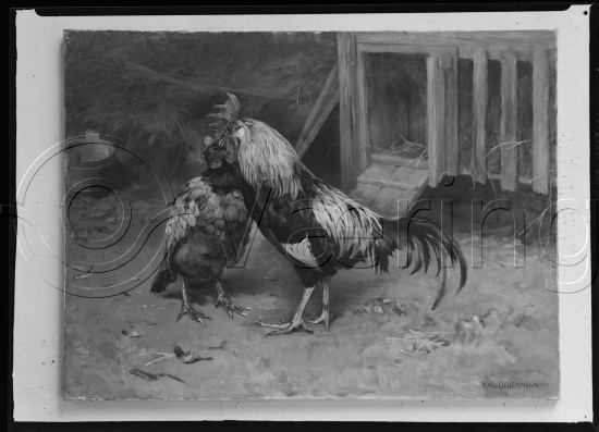 Glassplate og negativ film