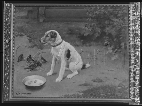 Glassplate og negativ film