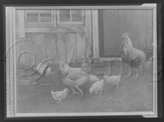 Glassplate og negativ film