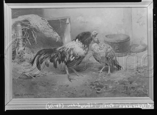 Glassplate og negativ film