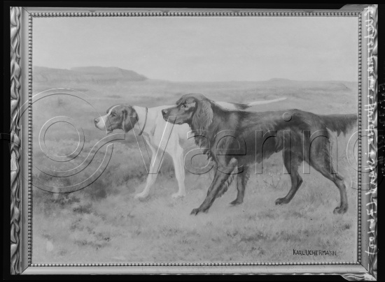 Glassplate og negativ film