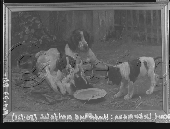 Glassplate og negativ film