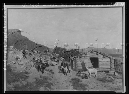 Glassplate og negativ film