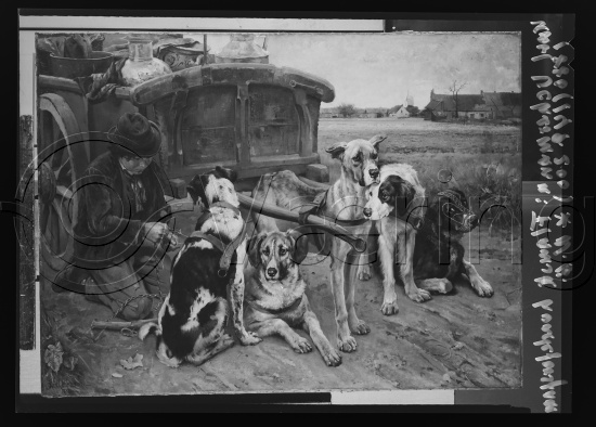 Glassplate og negativ film