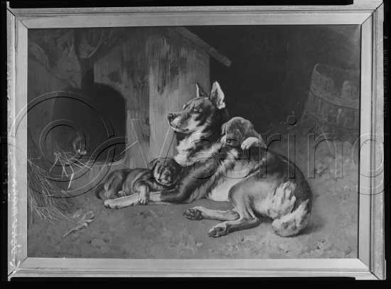 Glassplate og negativ film