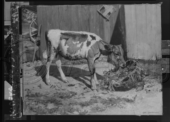 Glassplate og negativ film