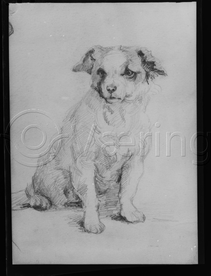 Glassplate og negativ film