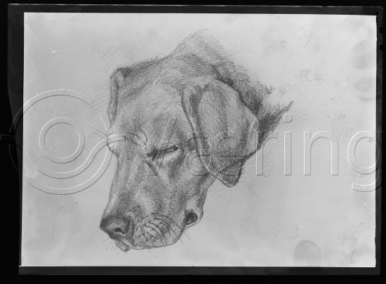 Glassplate og negativ film